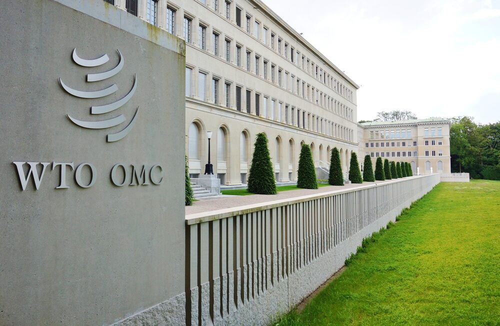 Dünya Ticaret Örgütü'nde (WTO) Staj Fırsatı